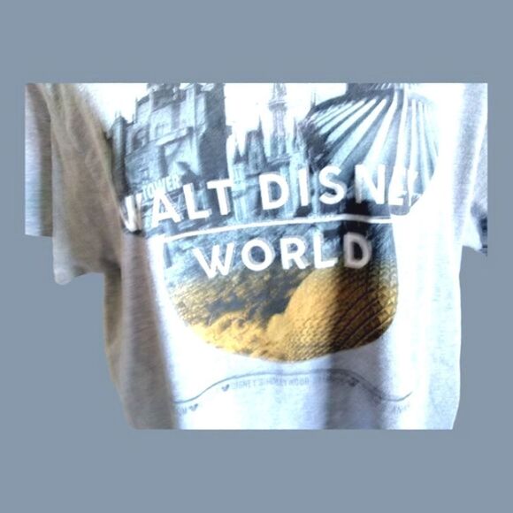 MEN'S T-Shirt WALT DISNEY WORLD Disney Parks Authentic SIZE LARGE - Picture 2 of 4